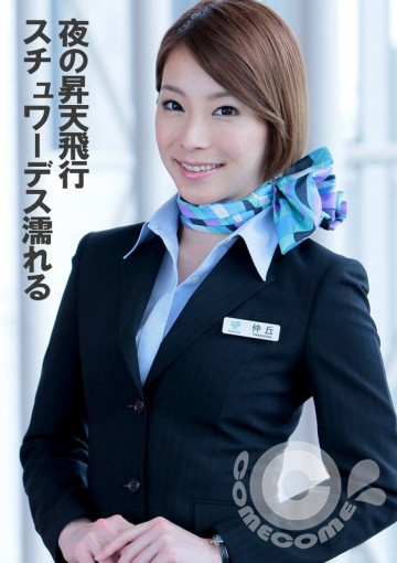 PYU-311 PYU-311