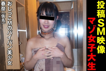 481SACZ-110 481SACZ-110