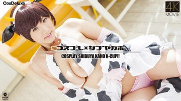 CSDX-001 CSDX-001